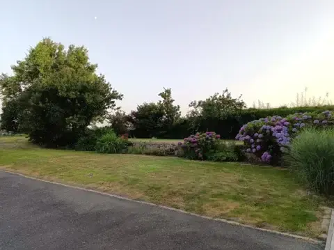Un lila mauve, des fleurs cantine des insectes, une pelouse agréable et du bon air marin